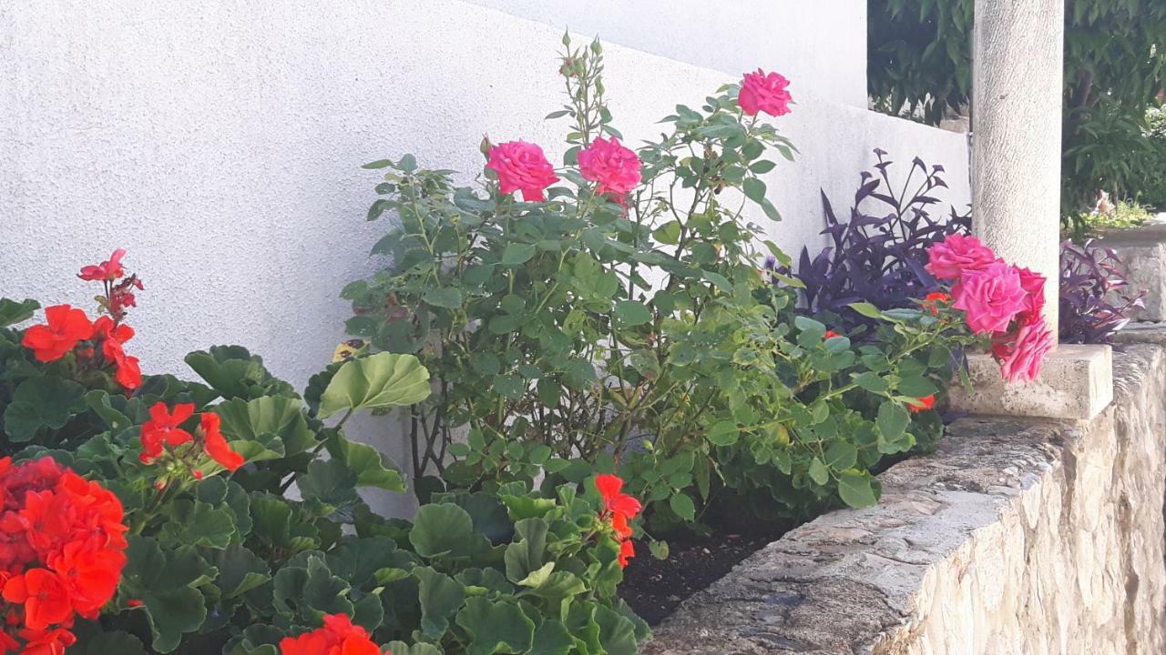 Apartment Ela Ντουμπρόβνικ Εξωτερικό φωτογραφία